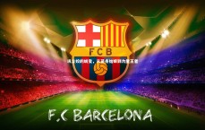 c7娱乐下载：巩立姣的蜕变，从苗条姑娘到力量王者